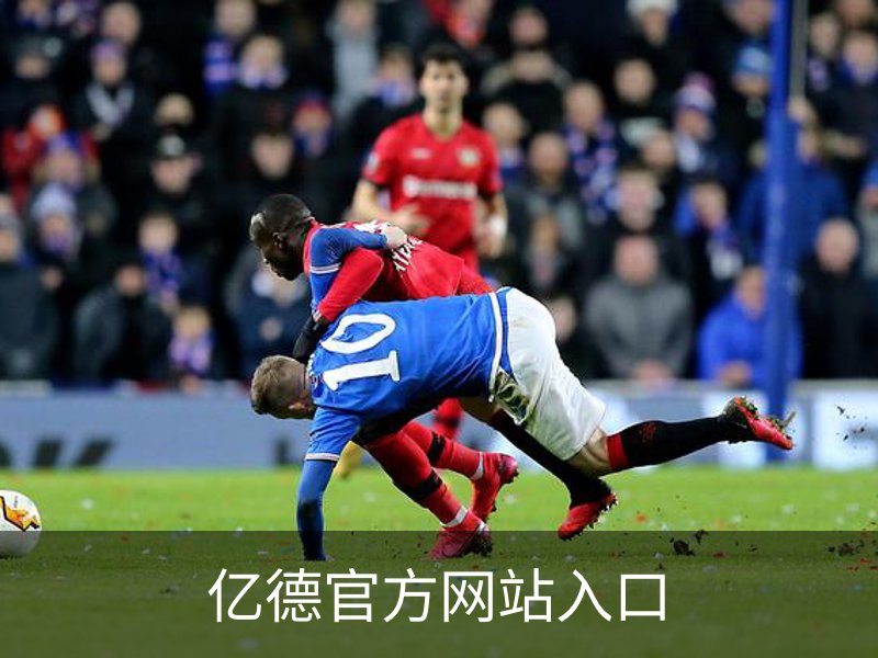 亿德官方网站入口简介